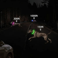 LED Dog Collar
