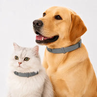 Flea & Tick Collar™