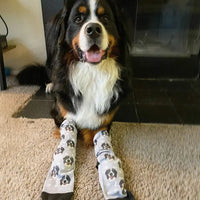 Custom Dog Socks