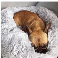 Calming Dog Bed