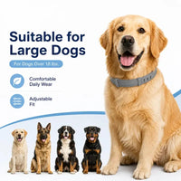 Flea & Tick Collar™