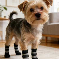 Waterproof Dog Shoes™