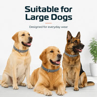 Flea & Tick Collar™