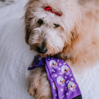 Custom Dog Socks