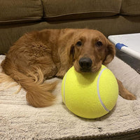 Giant Tennis Ball
