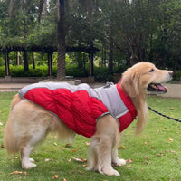 Winter Dog Jacket™