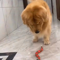 Smart Sensing Snake
