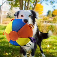 Giant Dog Ball™