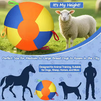 Giant Dog Ball™