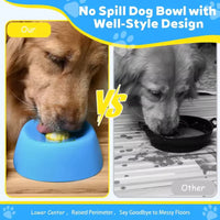 SpillGuard Lick Bowl™