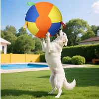 Giant Dog Ball™