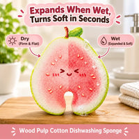 Kitchen Dishwashing Sponges™
