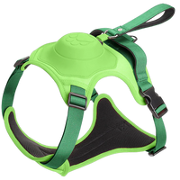 No Pull Adjustable Harness & Leash