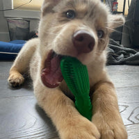Dog Toothbrush - Most Effective