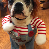Halloween Dog Costume