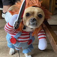 Halloween Dog Costume