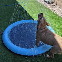 Splash Sprinkler Pad