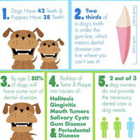 Dog Toothbrush - Most Effective