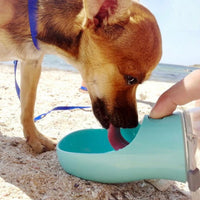 Pet Water Bottle