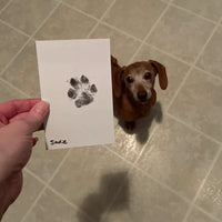 Paw Print Stamp Pad