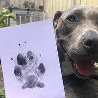 Paw Print Stamp Pad