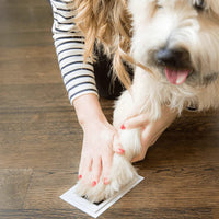 Paw Print Stamp Pad