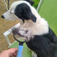 Deshedding Brush
