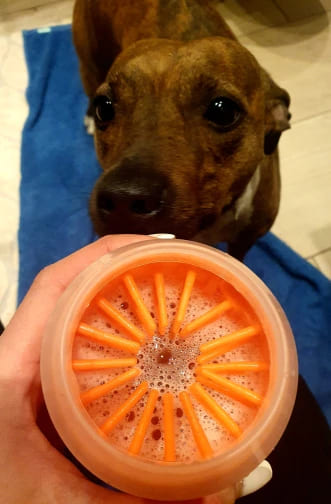 Pet Paw Cleaner – DoggoComfy