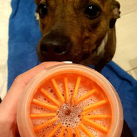 Pet Paw Cleaner