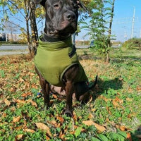 Waterproof Winter Jacket + Harness