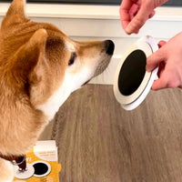 Nose Print Stamp Pad