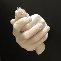 Paw Casting Kit