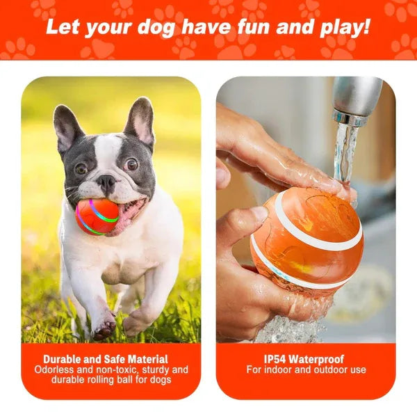 Interactive Remote Dog Ball