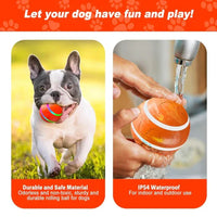 Interactive Remote Dog Ball