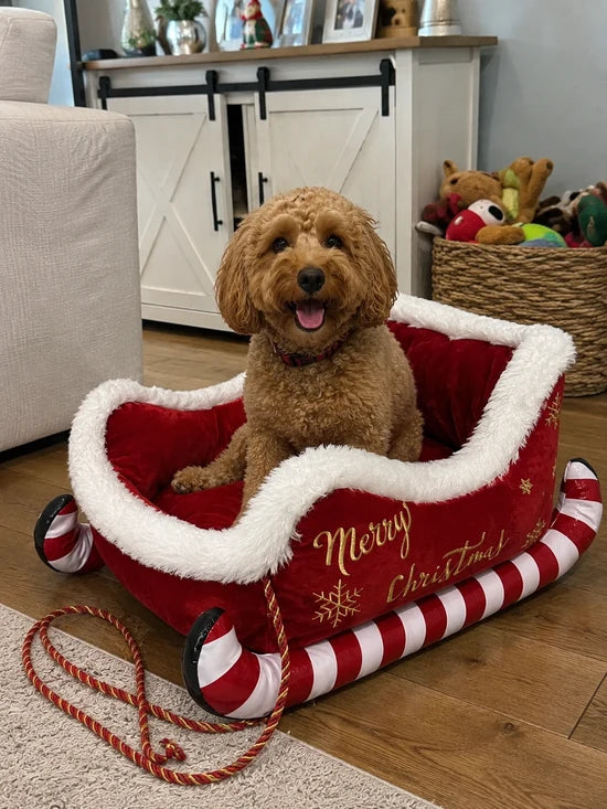Merry Calm Beds™