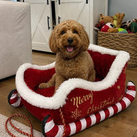 Merry Calm Beds™