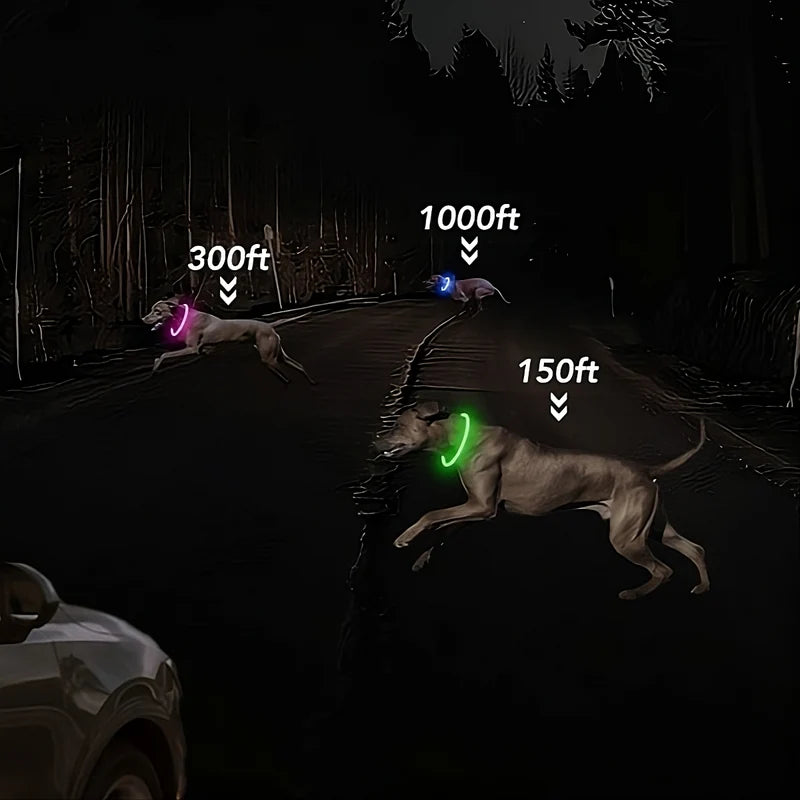 LED Dog Collar