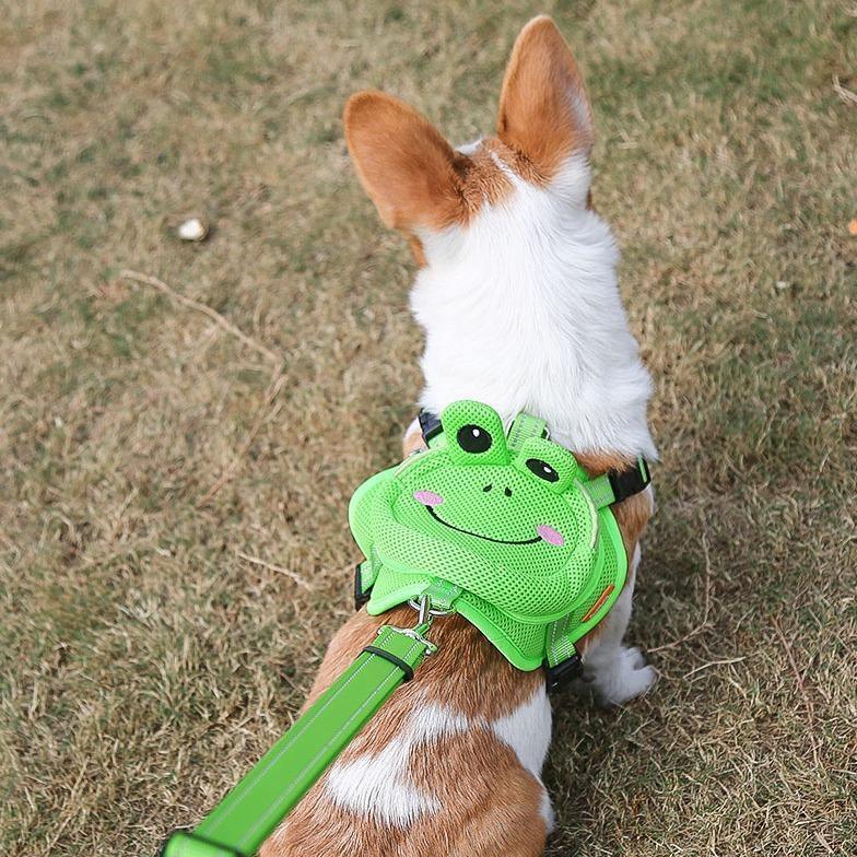 Backpack Harness Set