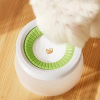 Dog Water Bowl