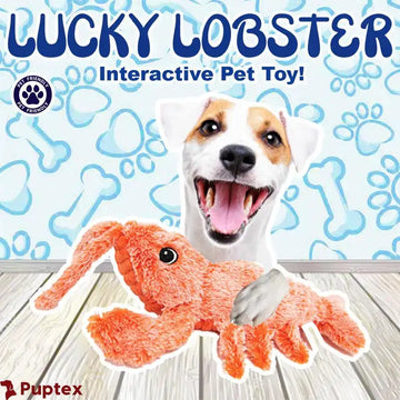 Lucky Lobster