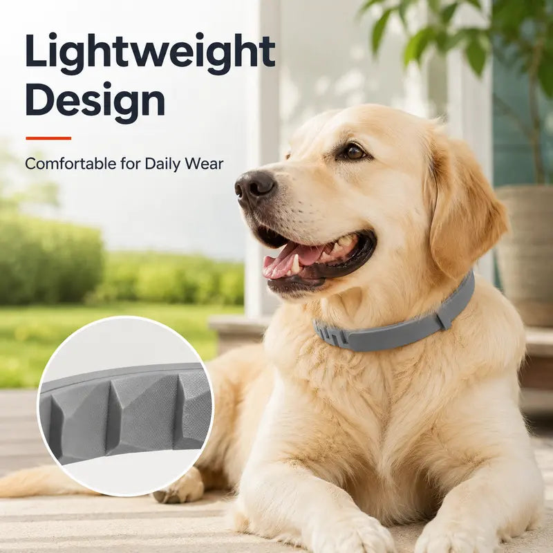 Flea & Tick Collar™