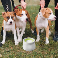 Dog Water Bowl