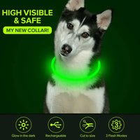 LED Dog Collar