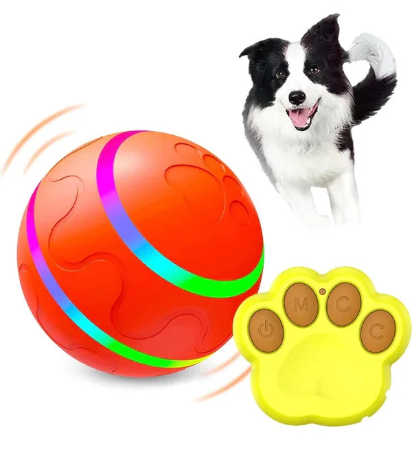 Interactive Remote Dog Ball