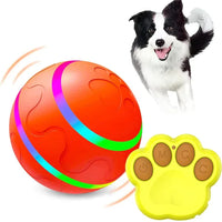 Interactive Remote Dog Ball