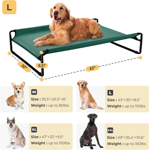 Elevated Dog Bed