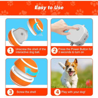 Interactive Remote Dog Ball