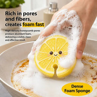 Kitchen Dishwashing Sponges™