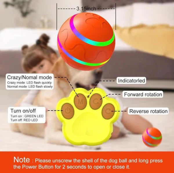 Interactive Remote Dog Ball