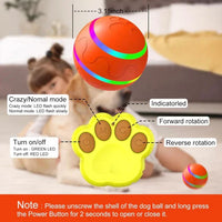 Interactive Remote Dog Ball